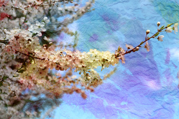 Watercolor Spring branch