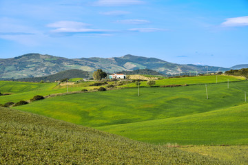 Fototapeta na wymiar Rolling hills in the province of Matera, Basilicata Italy