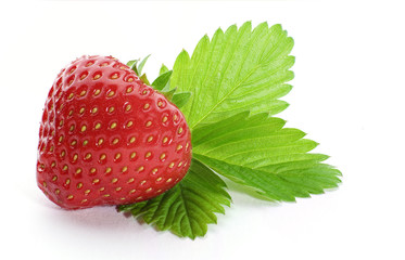 Nahaufnahme Erdbeere mit Blatt freigestellt