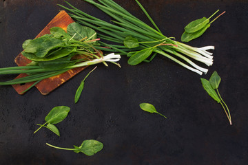Obraz premium leaves of sorrel and green onion on cutting board on a dark ba