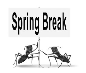 spring break vacation or holiday