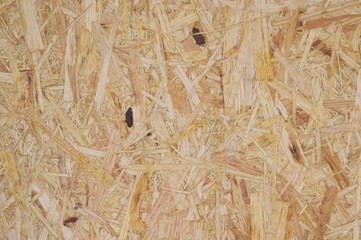 Glued wood shavings. Texture. Close-up.