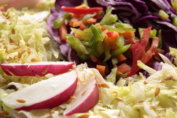 Mixed salad cut into julienne strips