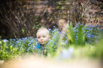 kleines Baby Beobachtet die Natur