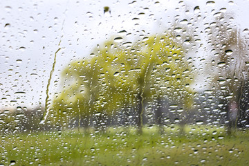 Rainy spring day, photographed from the car