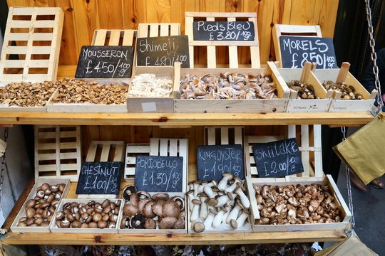 Mushrooms at market - London Borough Market