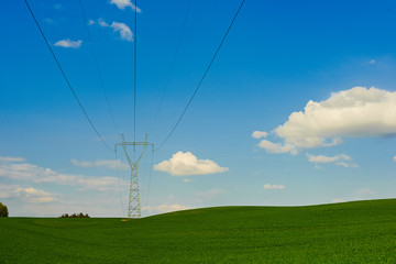 słupy i druty energetyczne nad polem zboża  © barytek