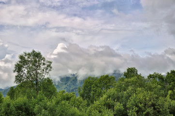 Summer landscape in the mountains with beautiful low clouds