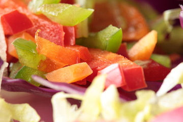 Mixed salad cut into julienne strips