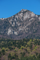 Mountain peak between forest and blue sky