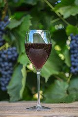 Vinnaya theme.