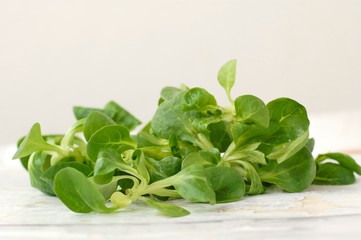 Lambs lettuce on the wooden background