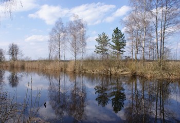 Болотистая местность