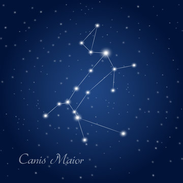 Canis Maior constellation at starry night sky