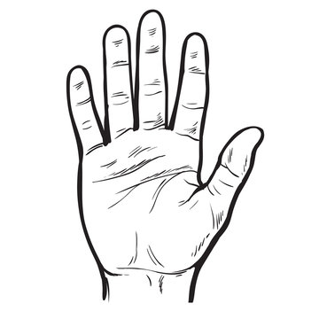 One hand. Hand showing five fingers. A welcome gesture. Stopping gesture. stop character. Opened palm of the hand. Painted hand. Contour arm. Illustration of five fingers.