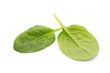 Spinach on the isolated white.