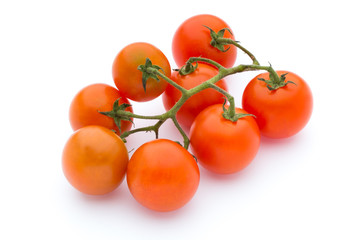 Tomato on the white isolatd background.