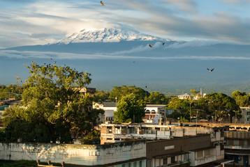 Kilimanjaro from Moshi, Tanzania
