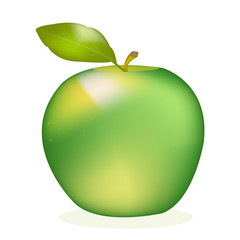 GREEN APPLE/MANZANA VERDE