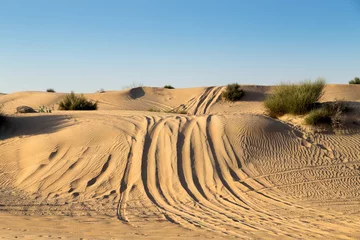  car rally on Desert Safari © Emoji Smileys People