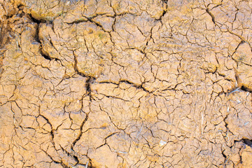 Cracked pattern on Dried Land