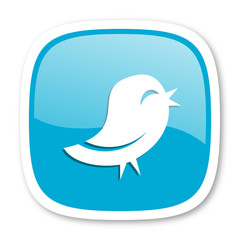 twitter blue glossy web icon