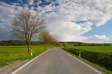 Empty road in spring landscape