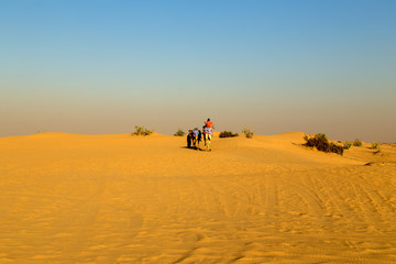 Fototapeta na wymiar camel safari on sand dunes