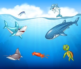 Cartoon sea animals 