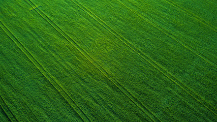 Aerial view over the agricultural fields