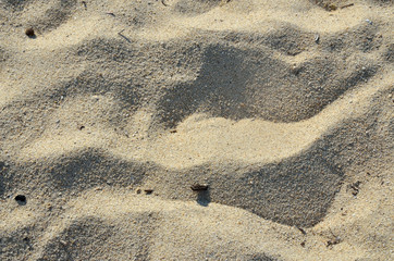 Sandy surface on the beach with small dunes on it