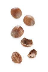brown hazel nuts