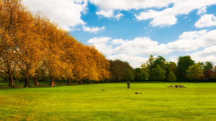 Fototapeta premium Green park in spring, Cambridge, England 