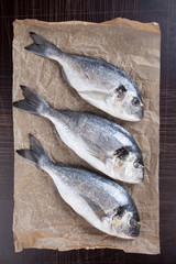 Raw bream fish on packing paper