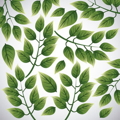 Tropical leaves design. leaf icon. natural concept, vector illustration