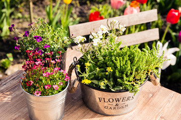 Viele Blumentöpfe stehen auf dem Gartentisch