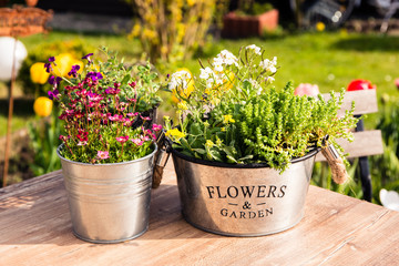Viele Blumentöpfe stehen auf dem Gartentisch