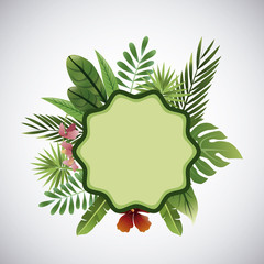 Tropical flower design. floral icon. natural concept, vector illustration
