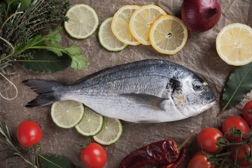 Raw gilt-head bream fish