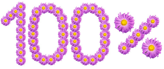 figures 100% of the letters written by purple flowers
