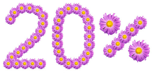 figures 20% of the letters written by purple flowers