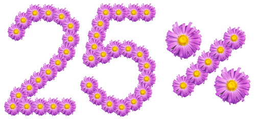 figures 25% of the letters written by purple flowers