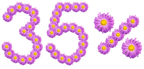 figures 35% of the letters written by purple flowers