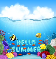 Naklejka na ściany i meble Summer background with tropical fish 