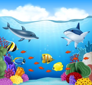 Summer background with sea animals 