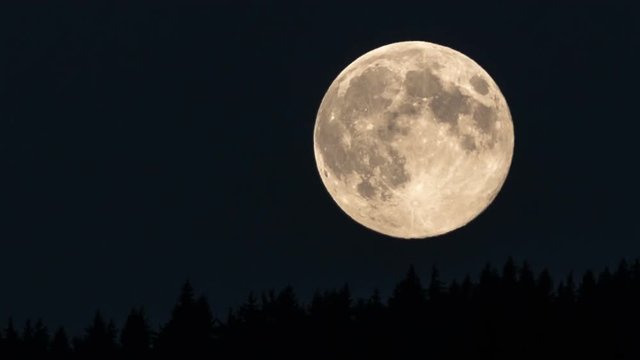 Full moon rising over forest Time lapse - Detail of full moon and craters on surface - Beautiful full moon moving across night sky - Full HD 1920 x 1080