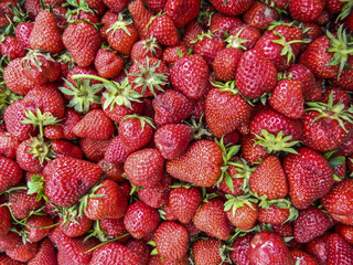 Domestic strawberries