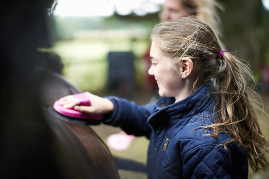 Girl horseback rider grooming horse - Powered by Adobe