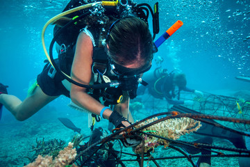 Underwater view of diver fixing a seacrete, (artificial steel reef with electric current), Lombok, Indonesia