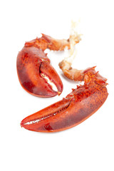 lobster claw